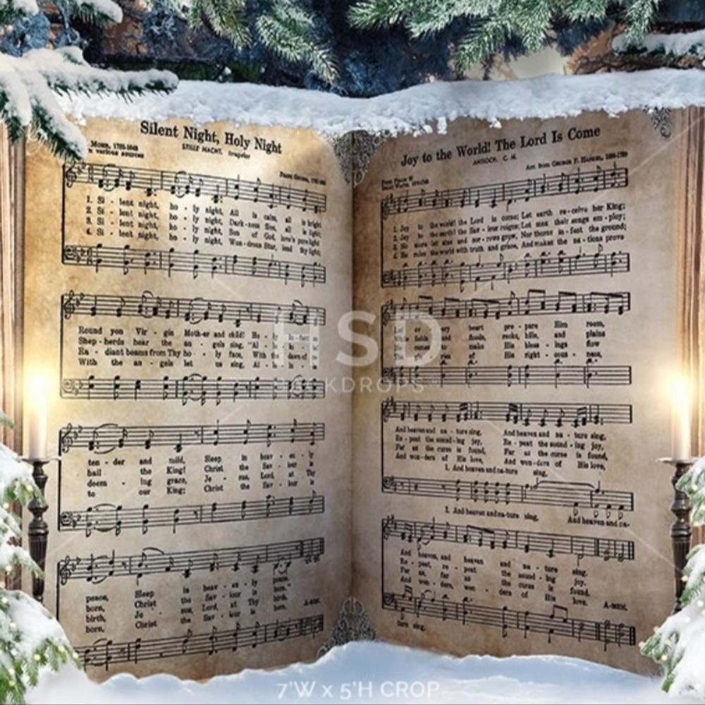 Christmas photography backdrop